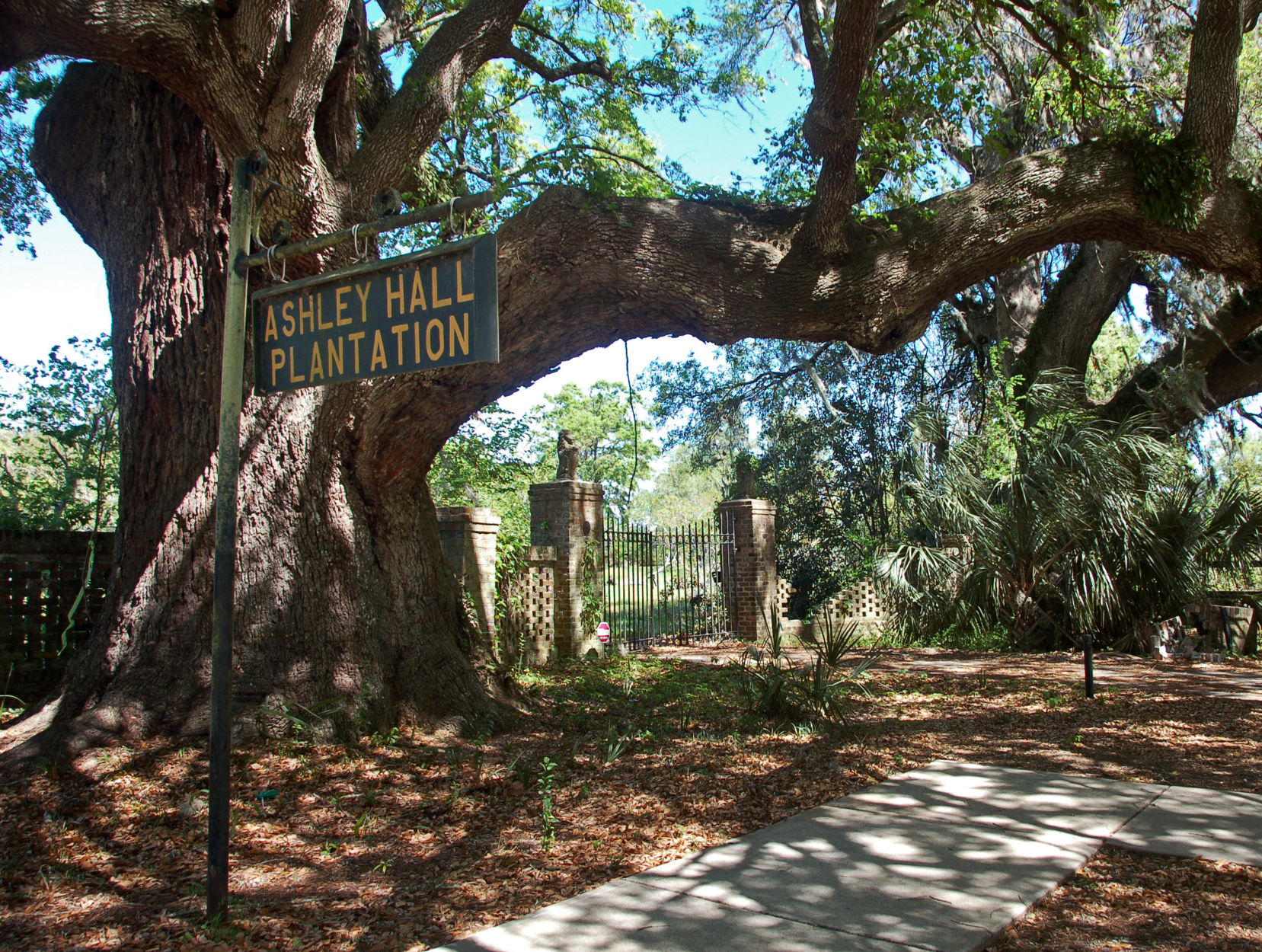 Ashley Hall Plantation